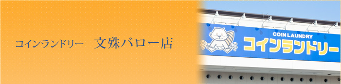 コインランドリー 文殊バロー店